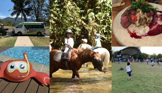 ケアンズ4日目の滞在記 －熱帯雨林の乗馬